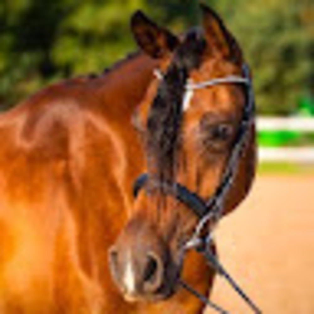 Meet your Posher, Courtney